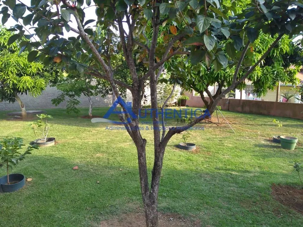 Chácara, 3 quartos, 1000 m² - Foto 6