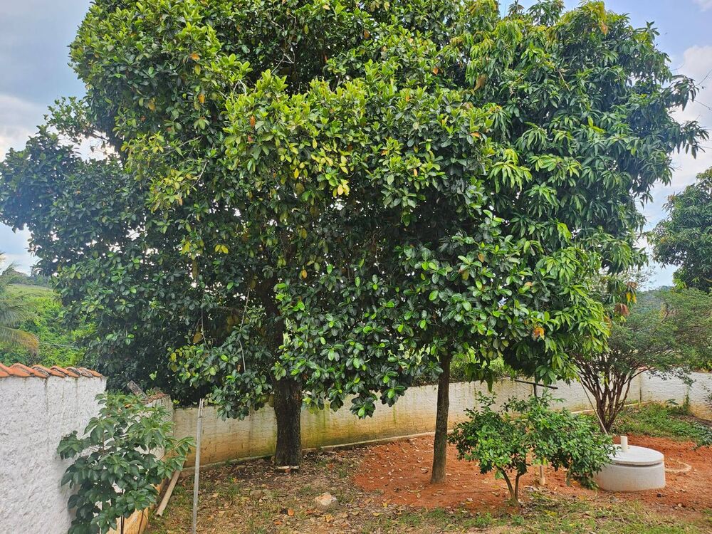 Chácara à venda com 5 quartos, 252m² - Foto 13