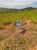 Terreno, 300 m² - Foto 3