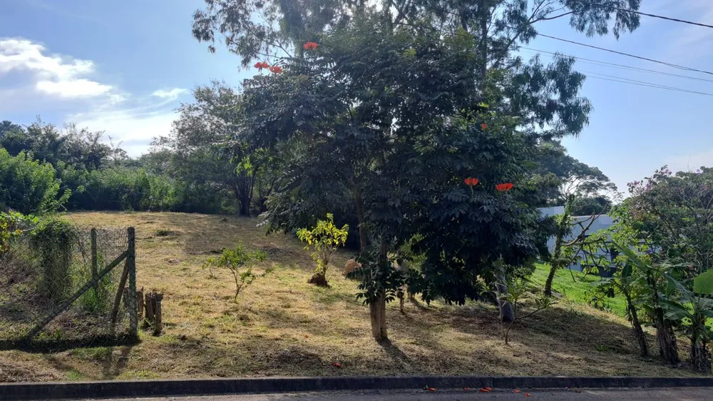 Terreno - Foto 11