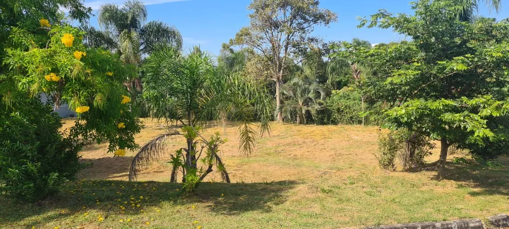 Terreno - Foto 4