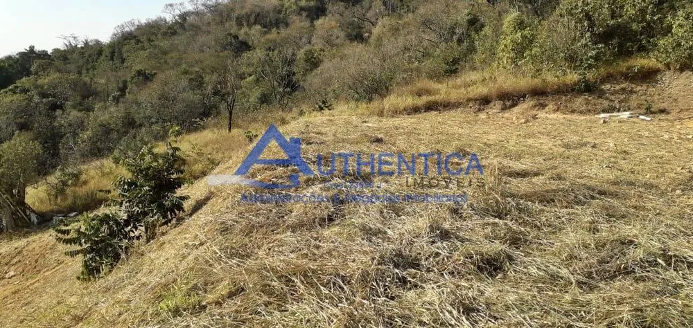 Terreno, 3000 m² - Foto 6