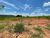 Terreno, 250 m² - Foto 5
