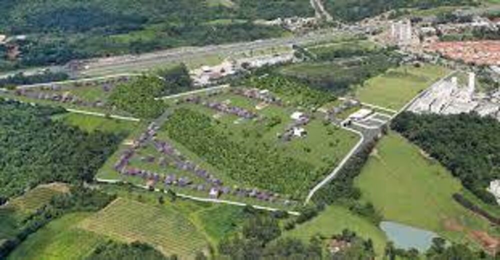 Terreno, 250 m² - Foto 2