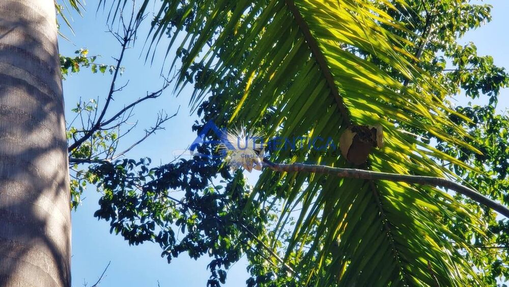 Terreno, 840 m² - Foto 2