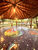 Casa, 400 m² - Foto 4