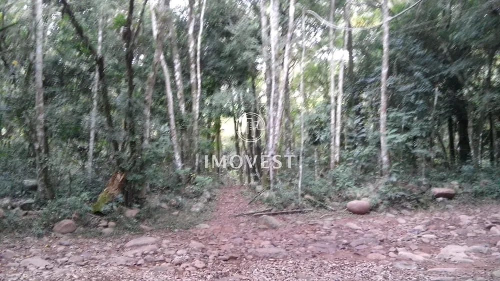 Chácara, 2 quartos, 5000 hectares - Foto 4