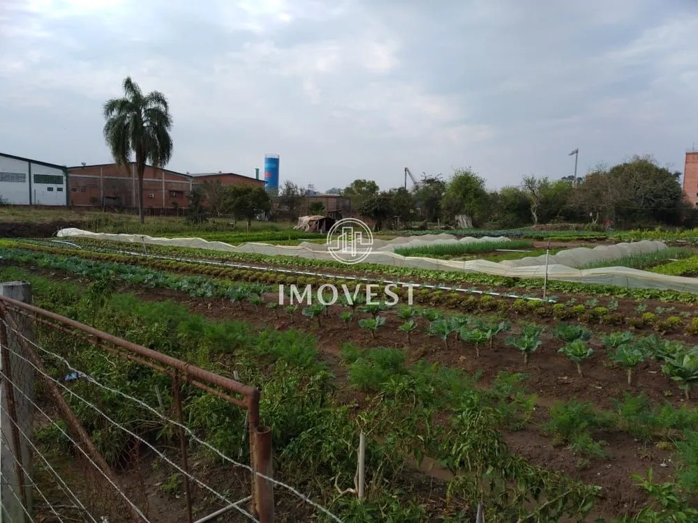Terreno, 1 hectares - Foto 2