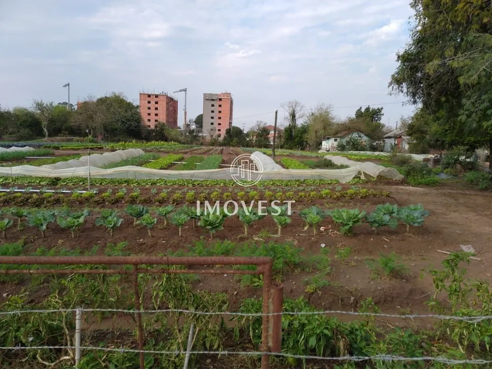 Terreno, 1 hectares - Foto 3