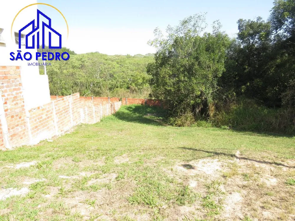 Terreno, 450 hectares - Foto 4