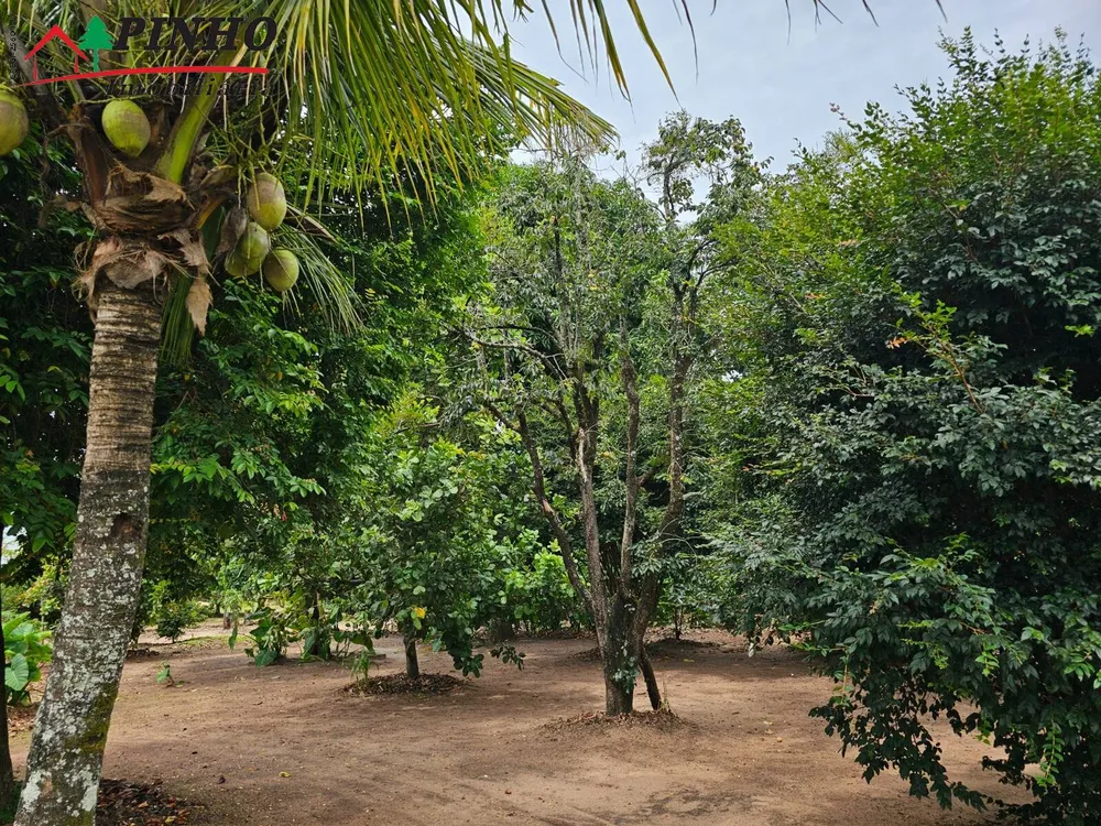 Casa, 4 quartos, 350 m² - Foto 7