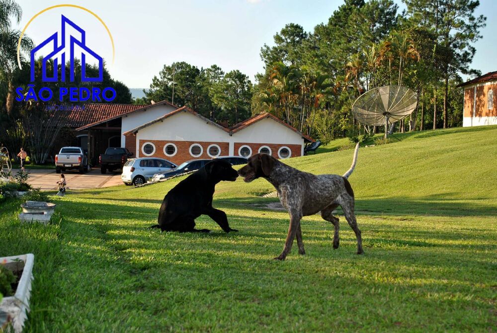 Casa, 4 quartos, 700 m² - Foto 59