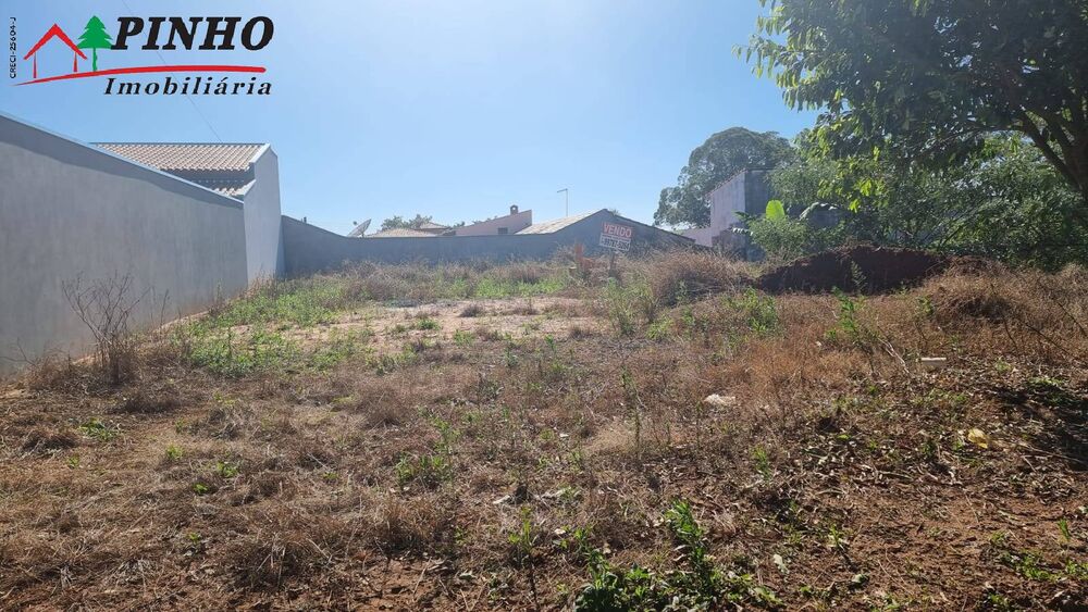 Terreno, 325 hectares - Foto 1