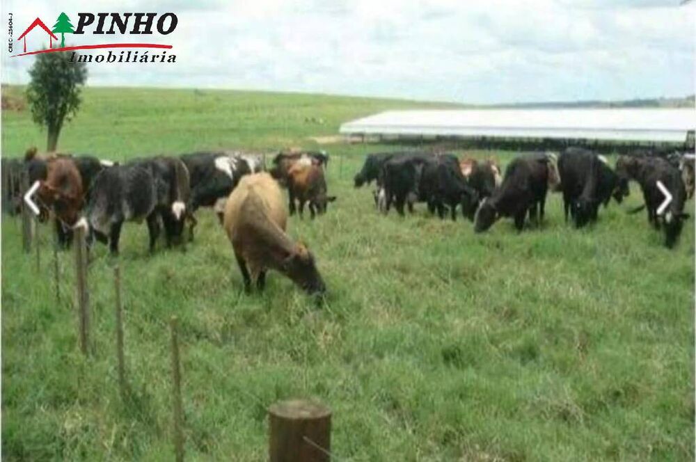 Fazenda, 163 m² - Foto 9