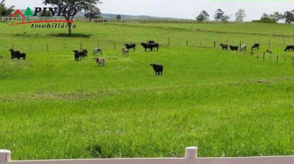Fazenda, 163 m² - Foto 7