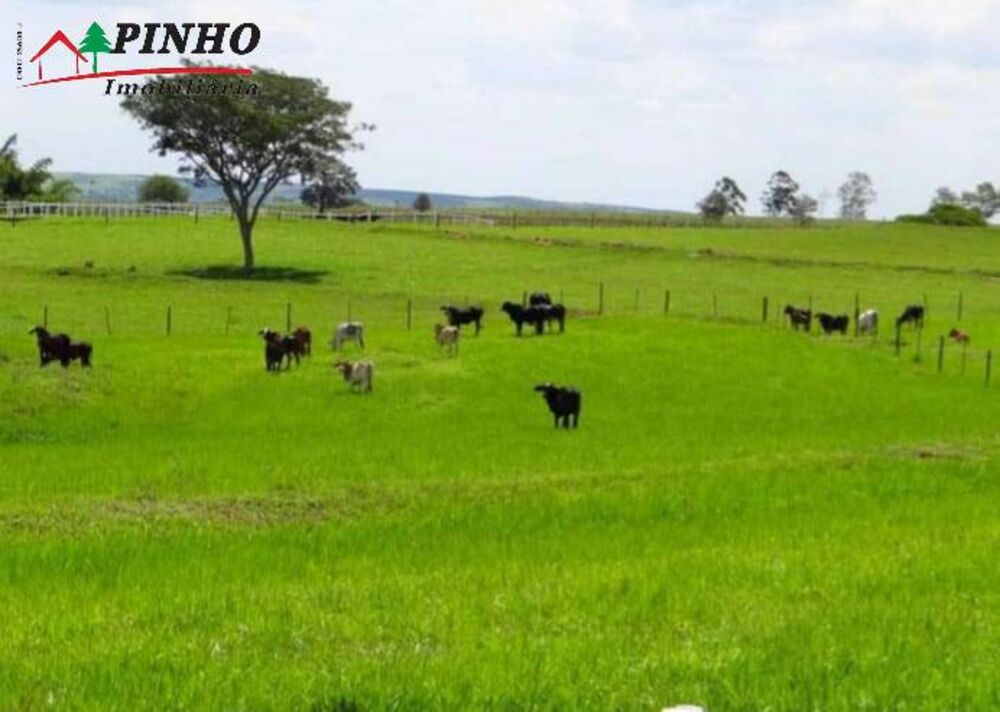 Fazenda, 163 m² - Foto 18