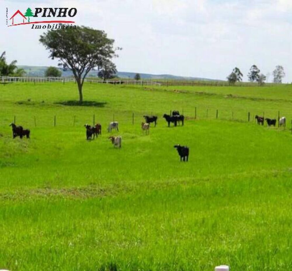 Fazenda, 163 m² - Foto 4
