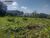 Terreno, 5000 m² - Foto 3