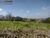 Terreno, 5000 m² - Foto 4