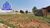 Terreno, 841 m² - Foto 3