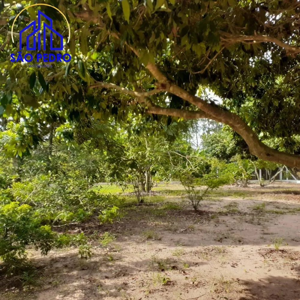 Terreno, 5000 m² - Foto 3