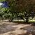 Terreno, 5000 m² - Foto 1