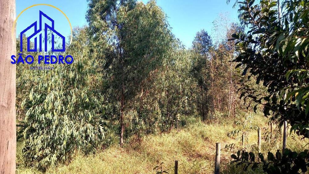 Terreno, 70 m² - Foto 3