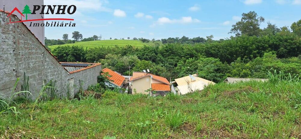 Terreno, 303 hectares - Foto 8