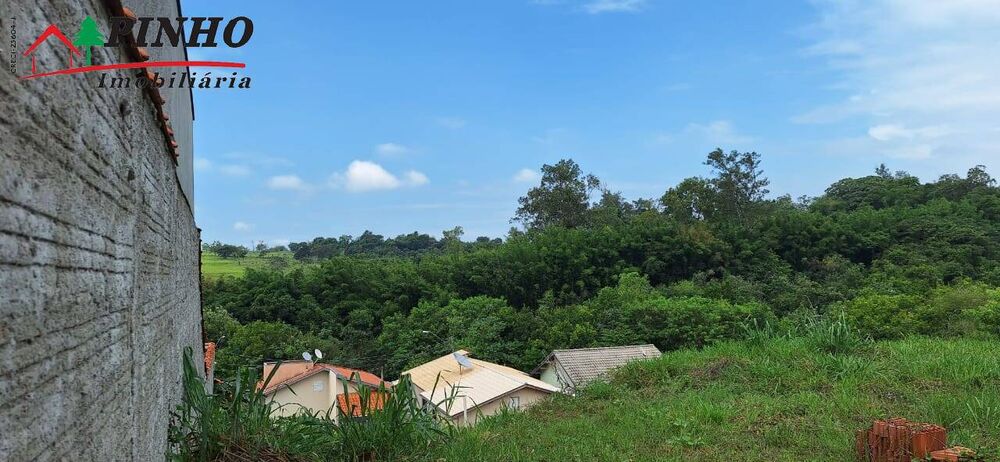 Terreno, 303 hectares - Foto 4