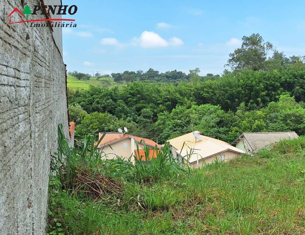 Terreno, 303 hectares - Foto 3