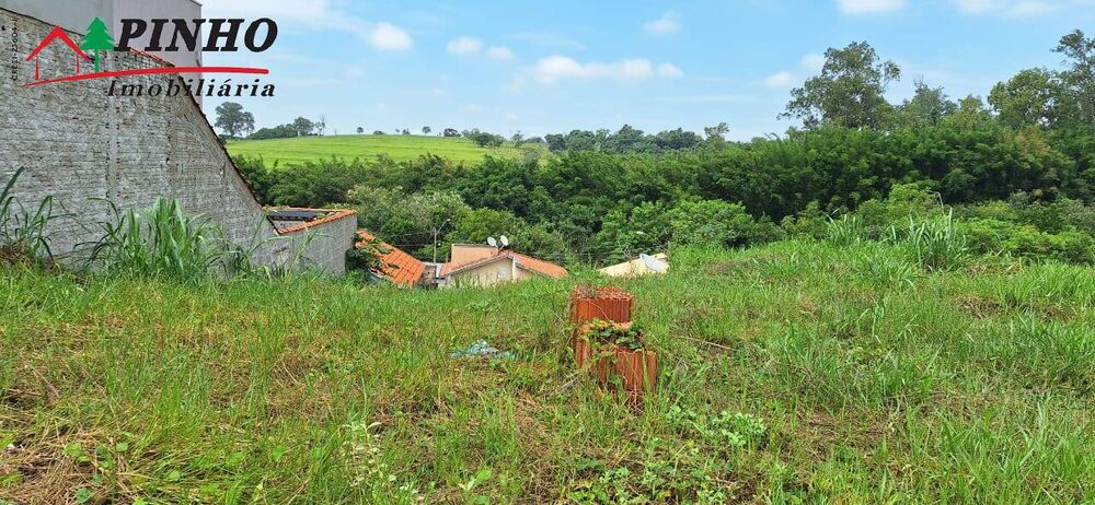 Terreno, 303 hectares - Foto 9