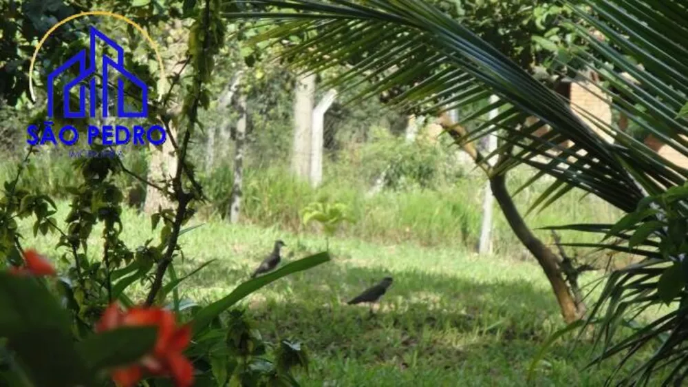 Fazenda à venda com 4 quartos, 5000m² - Foto 4