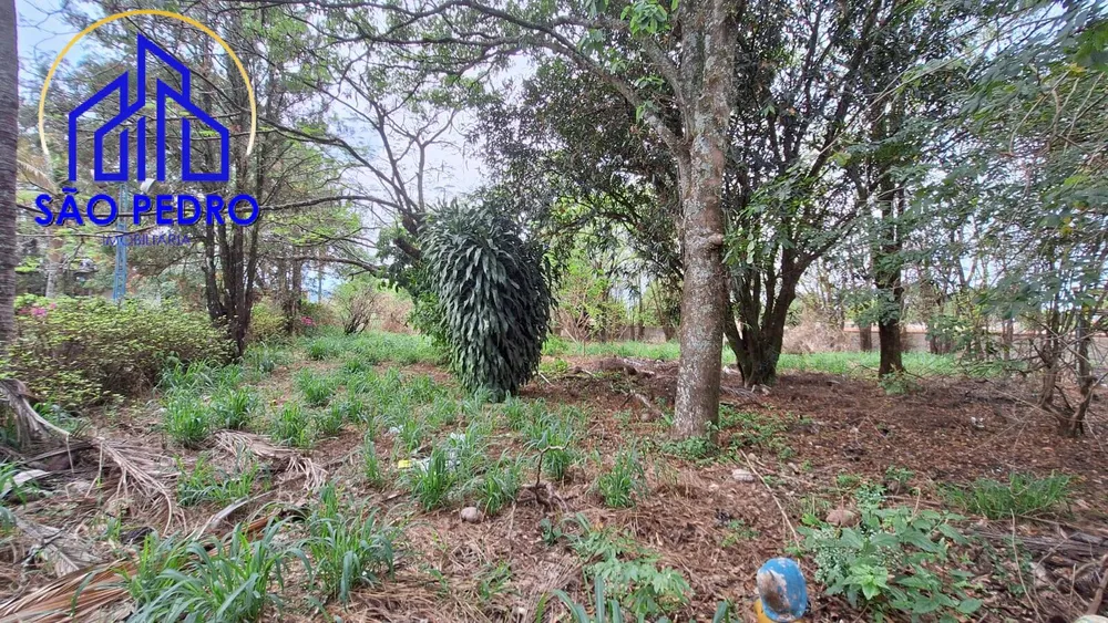 Terreno, 2000 m² - Foto 6