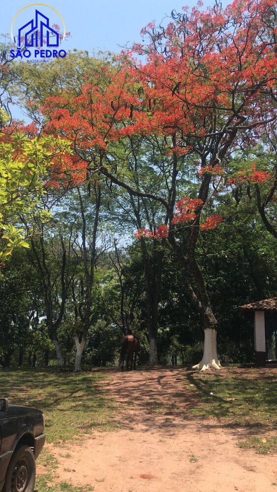 Casa, 3 quartos, 150 m² - Foto 6