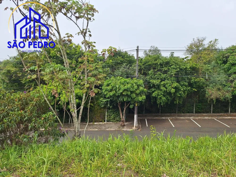 Terreno, 53 hectares - Foto 3