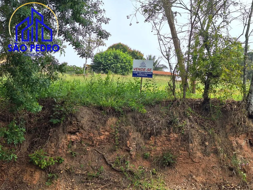 Terreno, 53 hectares - Foto 2