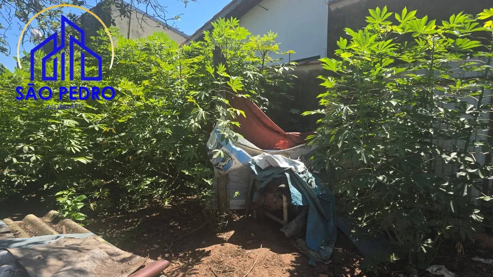 Terreno, 250 m² - Foto 3