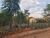 Terreno, 5000 m² - Foto 5