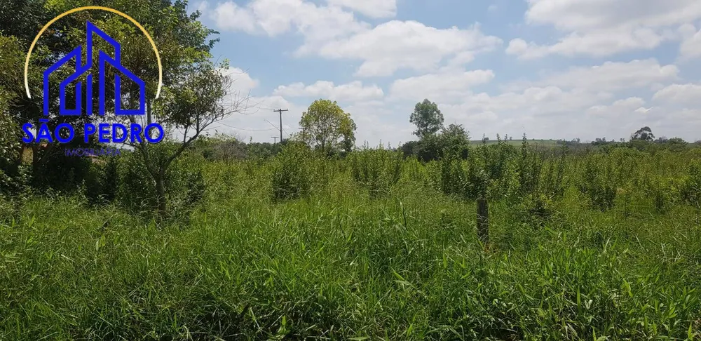 Terreno - Foto 8