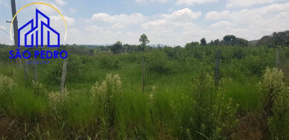 Terreno - Foto 6