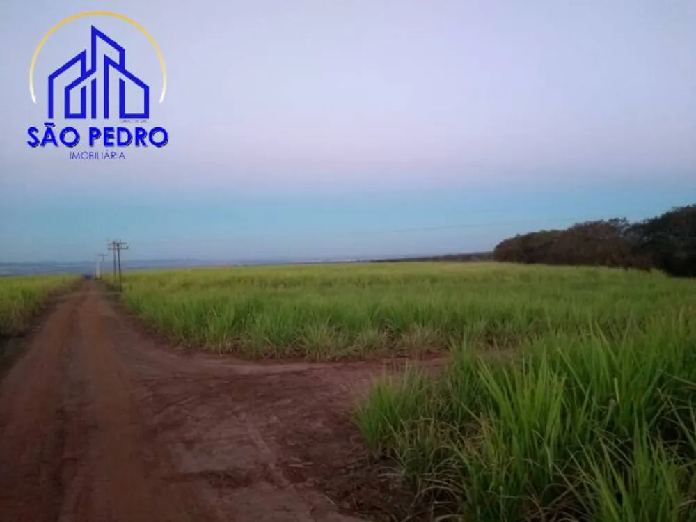 Terreno - Foto 1