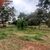 Terreno, 600 m² - Foto 3
