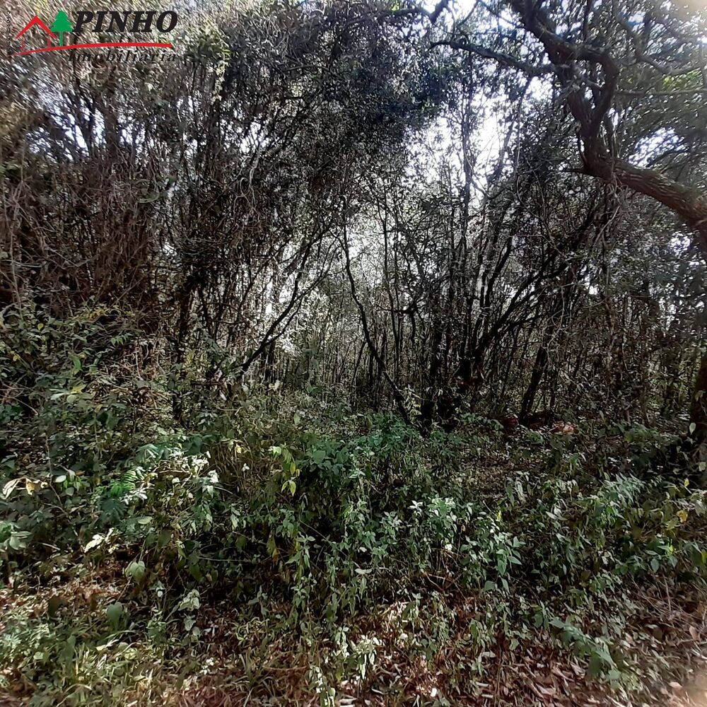 Terreno à venda, 6m² - Foto 7