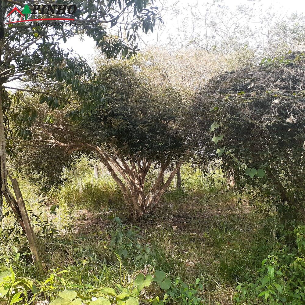 Terreno à venda, 6m² - Foto 1