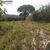 Terreno, 6 m² - Foto 2