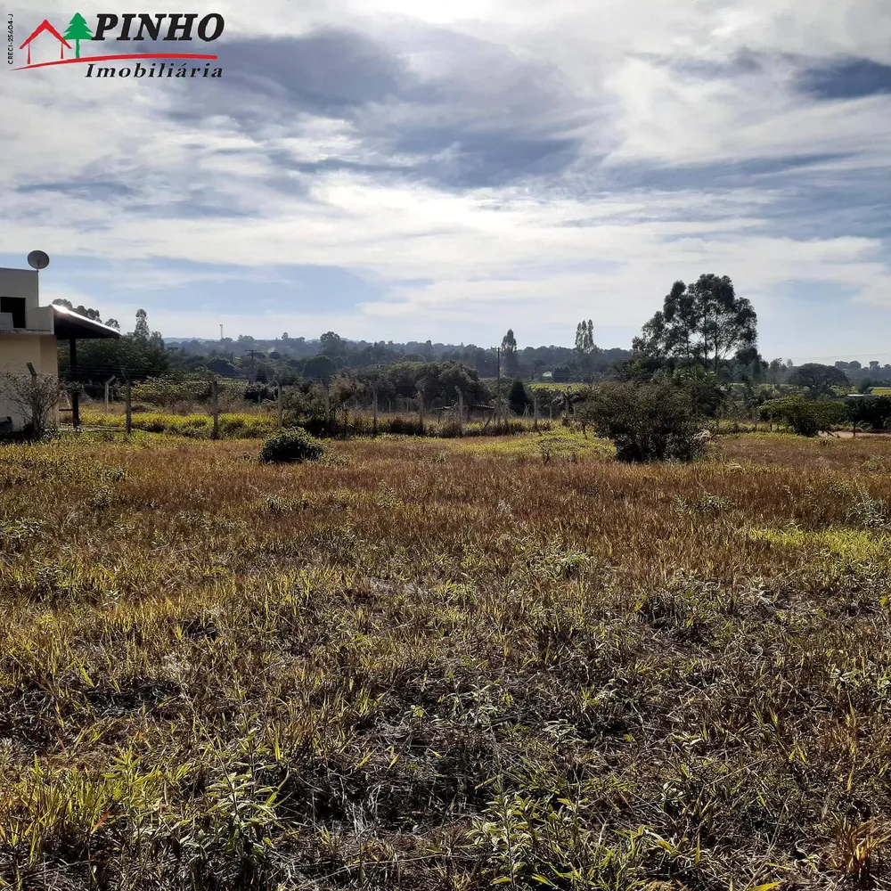 Terreno, 5000 m² - Foto 5