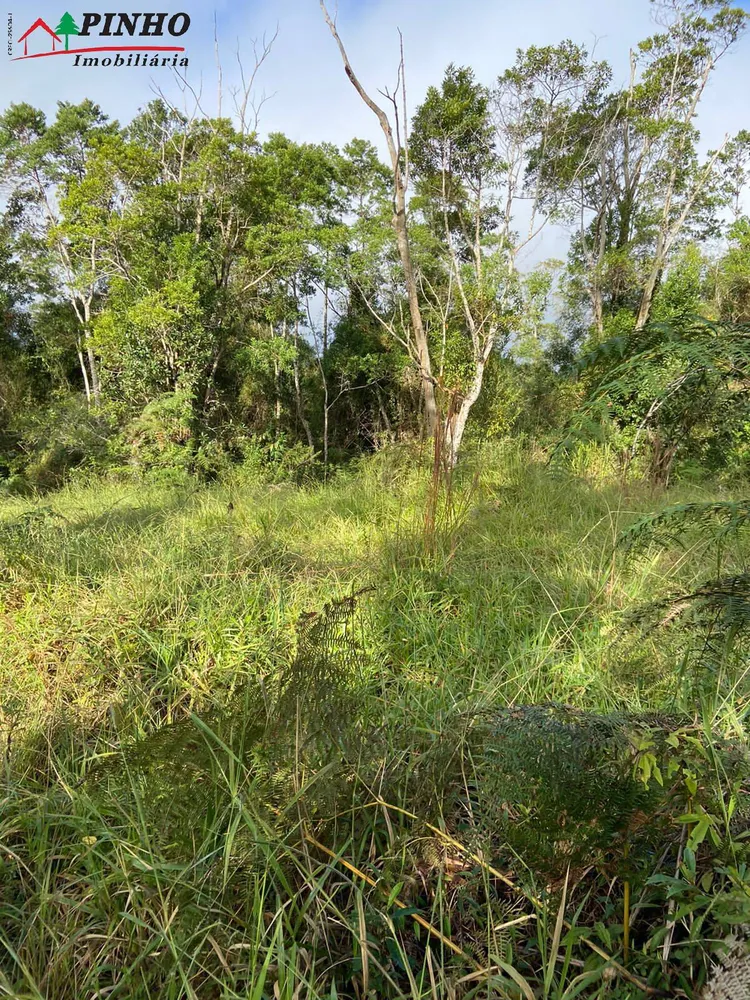 Terreno, 78 m² - Foto 5