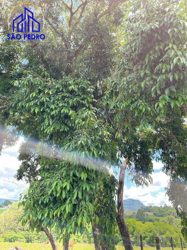 Terreno, 466 m² - Foto 8