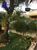 Casa, 2 quartos, 260 m² - Foto 19