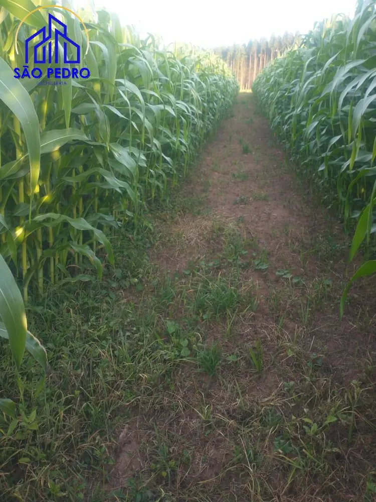 Terreno, 19 m² - Foto 4